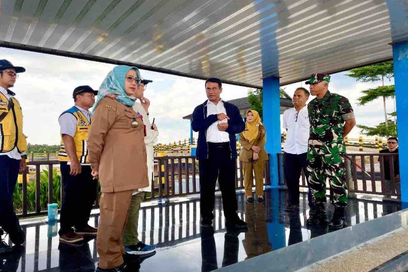 Mentan bidik cetak sawah 500 ribu ha di bekas lahan gambut Kalteng