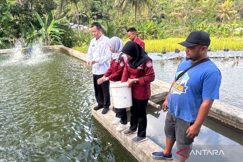 Pengembangan SFV Ciamis berikan tambahan pendapatan hingga 400 persen