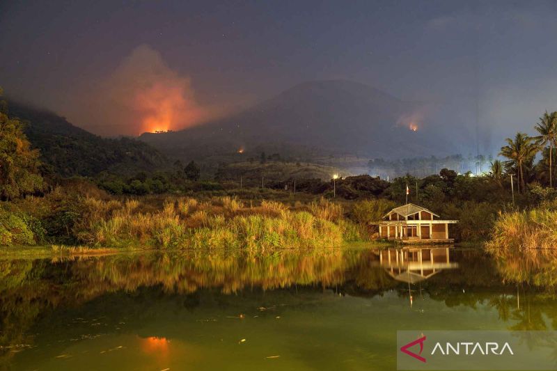 Belasan hektare hutan Gunung Guntur ludes terbakar