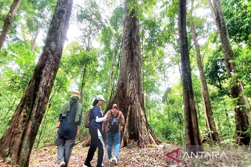 bandara-syamsudin-noor-promosi-geopark-meratus-surga-pariwisata-kalsel