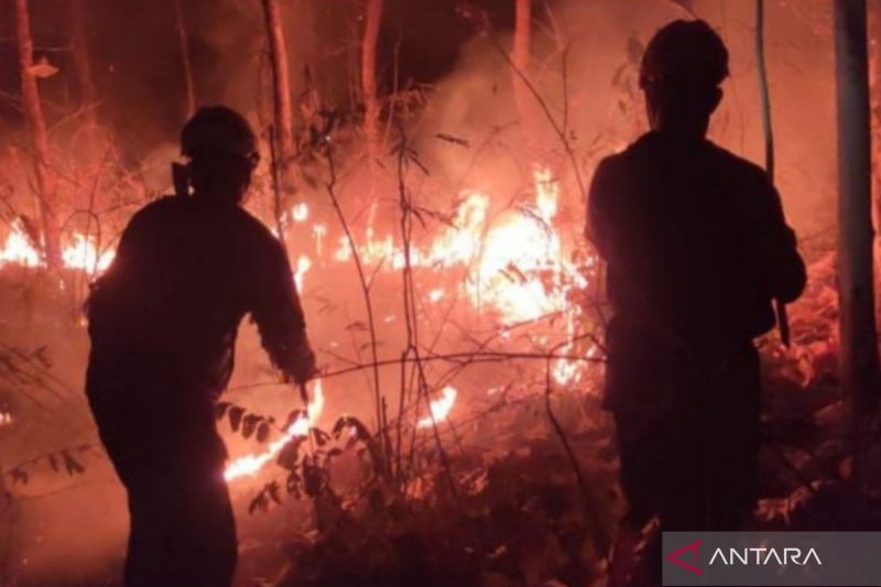 BNPB: Penyebab karhutla 18,19 hektare di Jawa Timur dalam penyelidikan