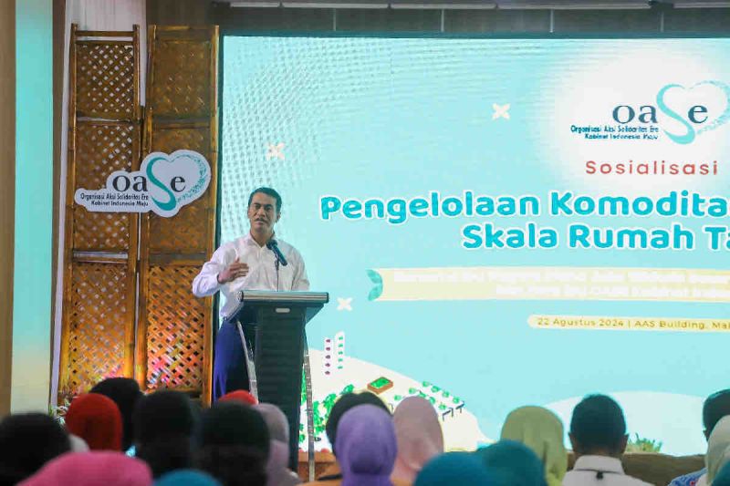 Mentan dorong pengelolaan komoditas hortikultura skala rumah tangga