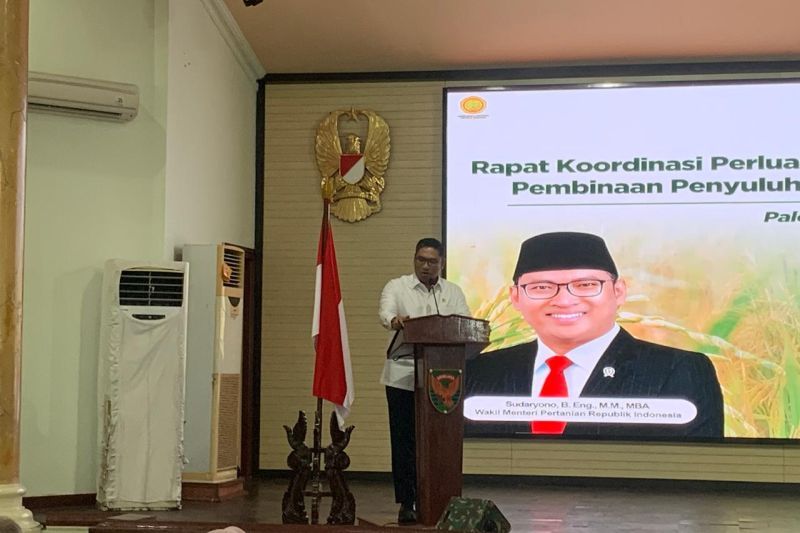 Wamentan targetkan Indonesia bebas impor beras pada Tahun 2025