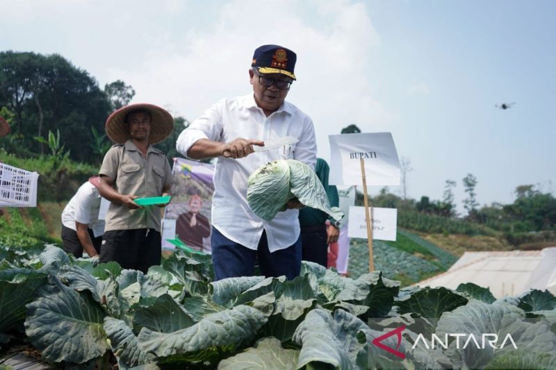 Kementan dukung Cianjur suplai komoditi Program Makan Siang Gratis