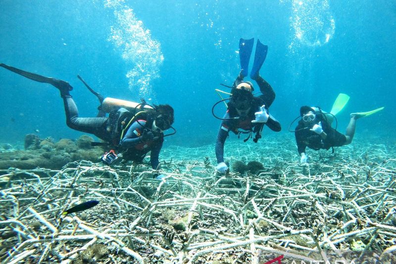 CTC kembangkan kawasan konservasi laut RI dukung ekonomi biru 