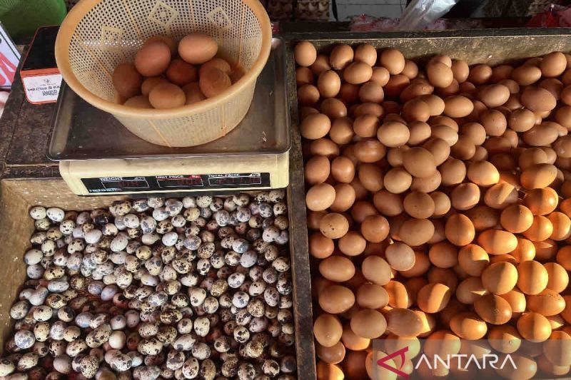 Harga pangan Sabtu turun: Telur Rp28.100 per kg, cabai Rp55.030 per kg