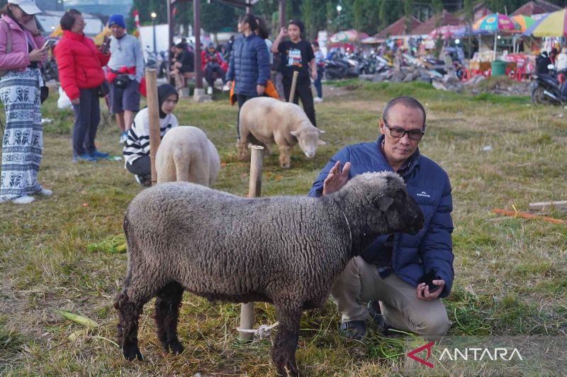 Festival domba jadi ajang unik di kegiatan seni budaya Dieng