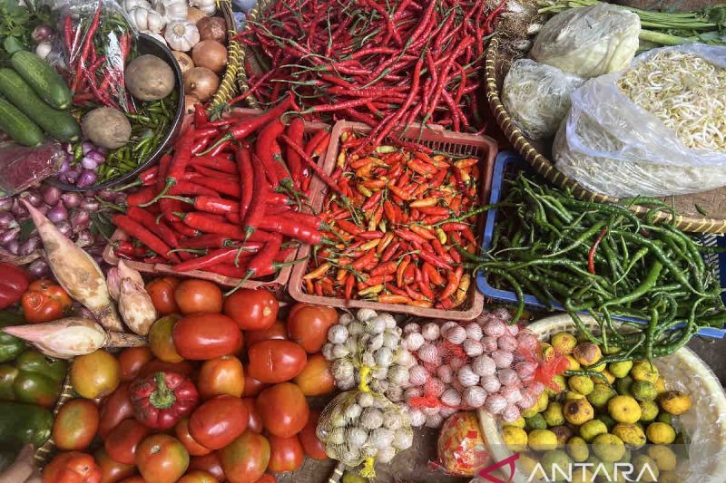 Harga pangan Minggu mayoritas naik: bawang merah jadi Rp25.900 per kg