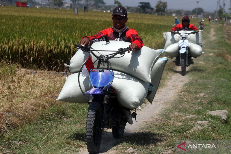 Jasa ojek khusus angkut gabah petani di Ngawi