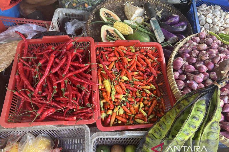 Harga pangan Senin mayoritas turun, cabai rawit jadi Rp52.900/kg