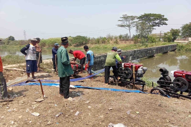 Kementan-Pemkab Subang gerak cepat pasang pompa di lahan sentra padi