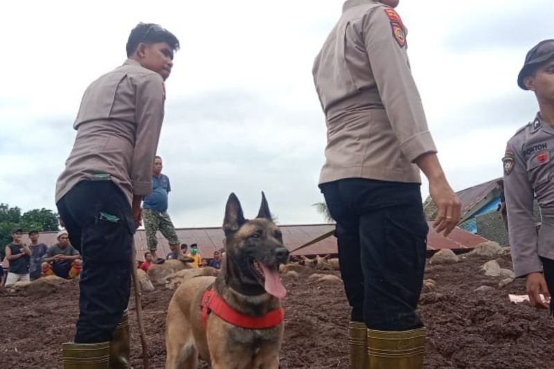 Polres gunakan anjing pelacak cari korban banjir Ternate