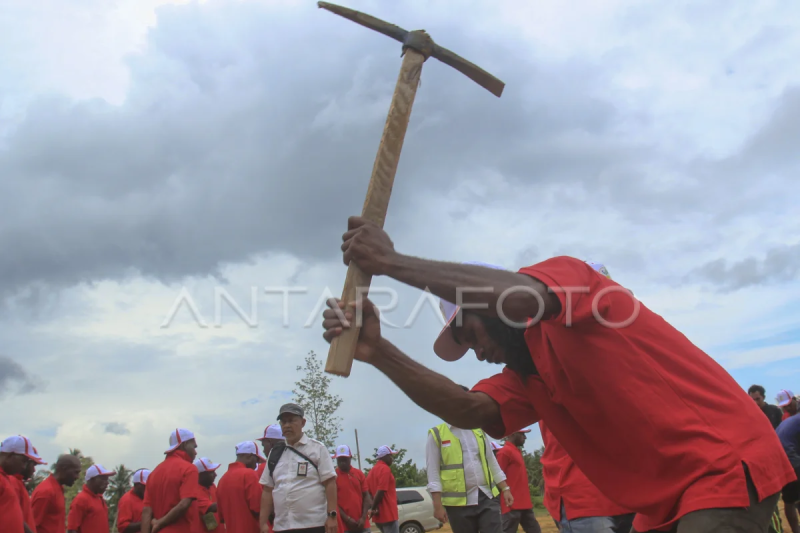 Kemensos latih warga Papua membuat rumah "knock down"