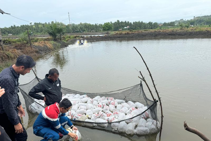 Pertamina menghadirkan program gampong berdikari di Lhokseumawe