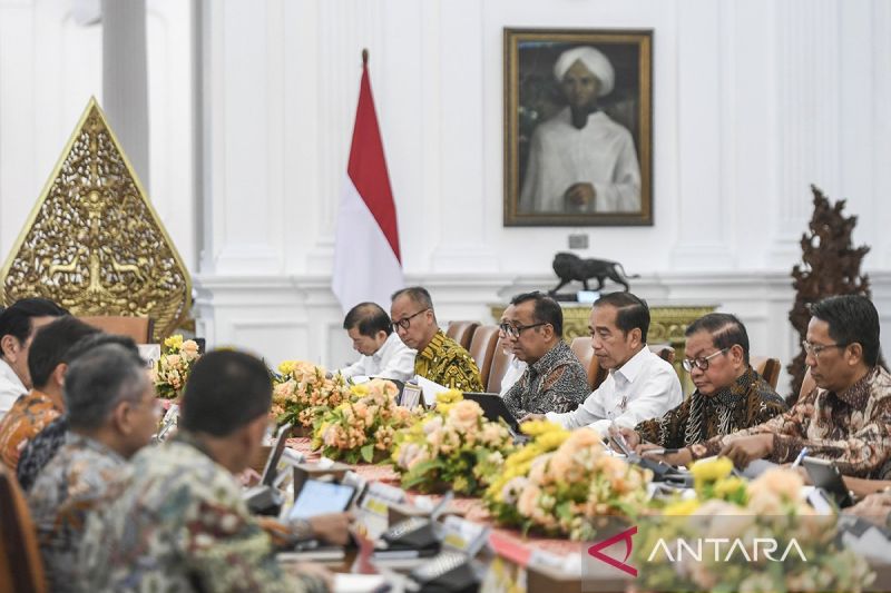 Menkes jelaskan ke Presiden tentang penularan Mpox pada anak di Afrika