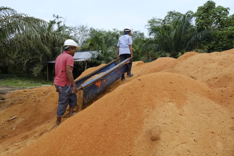 PLTU Ombilinlibatkan masyarakat sediakan limbah serbuk kayu