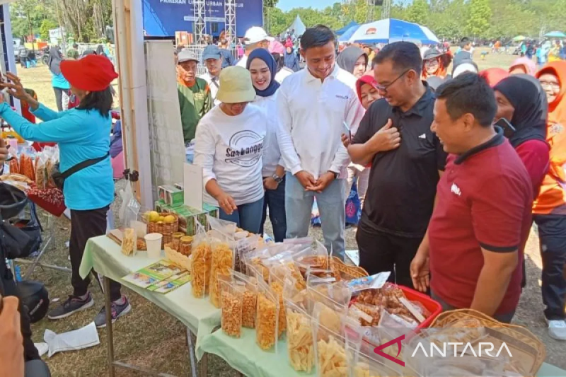 Dongkrak ekonomi keluarga, BKKBN gandeng BI kenalkan literasi keuangan