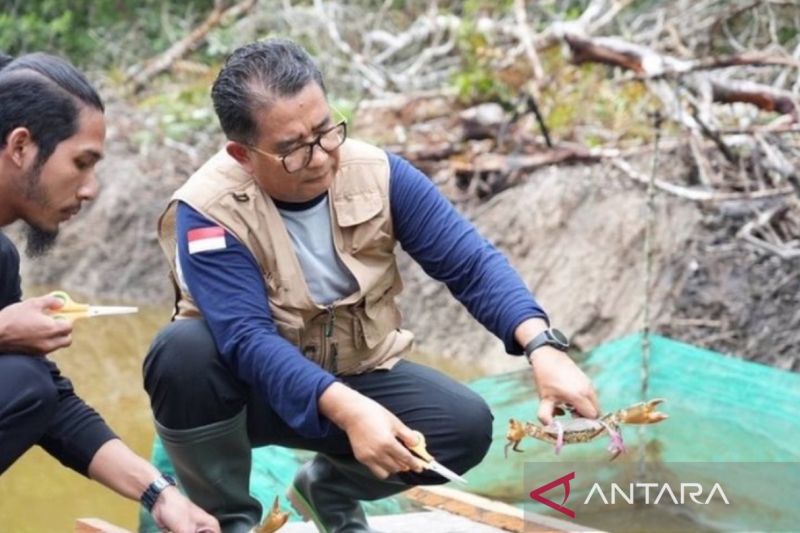 Pj Gubernur Kaltim ajak masyarakat terlibat restorasi ekosistem