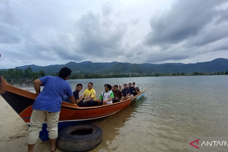 Gerakan tanam pohon Pelindo mewujudkan Danau Pading wisata dunia