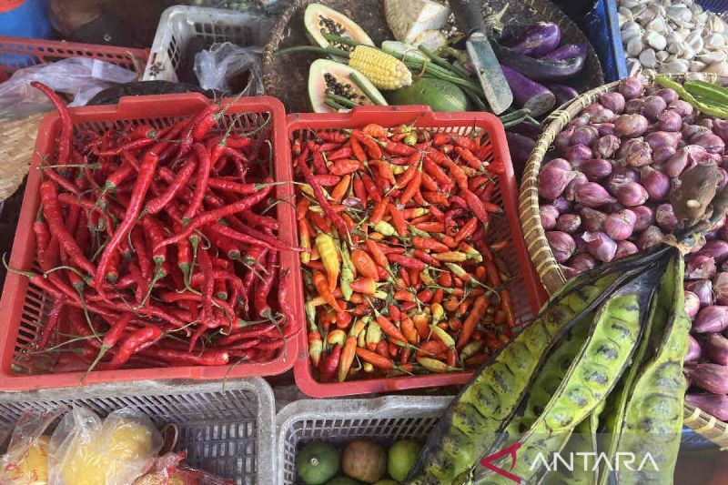 Harga pangan Kamis: Cabai keriting naik Rp8.450 jadi Rp50.000 per kg