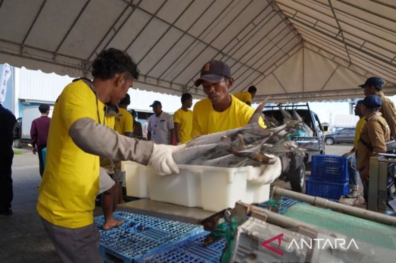 Sentuhan digitalisasi di pelabuhan perikanan Indonesia