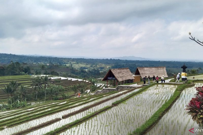 Menparekraf godok moratorium bangun hotel dan stop konversi pertanian 