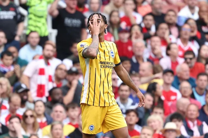 Chelsea resmi rampungkan transfer Joao Pedro dari Brighton