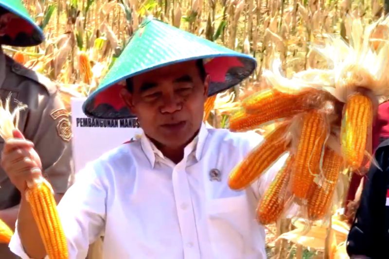 Menko PMK minta Pemkab Ponorogo intervensi harga jagung