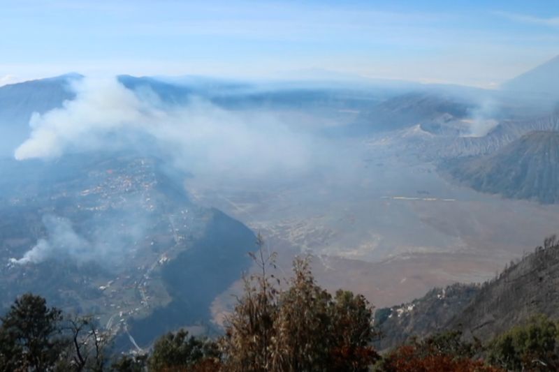 TNBTS selidiki penyebab kebakaran Bukit Kedaluh di Bromo