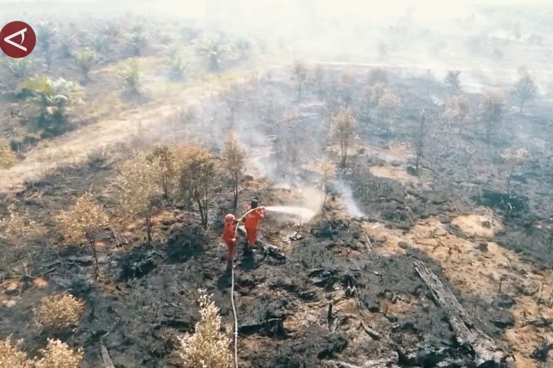 Masih terkendali, karhutla di Sumsel belum berdampak ke fasilitas umum