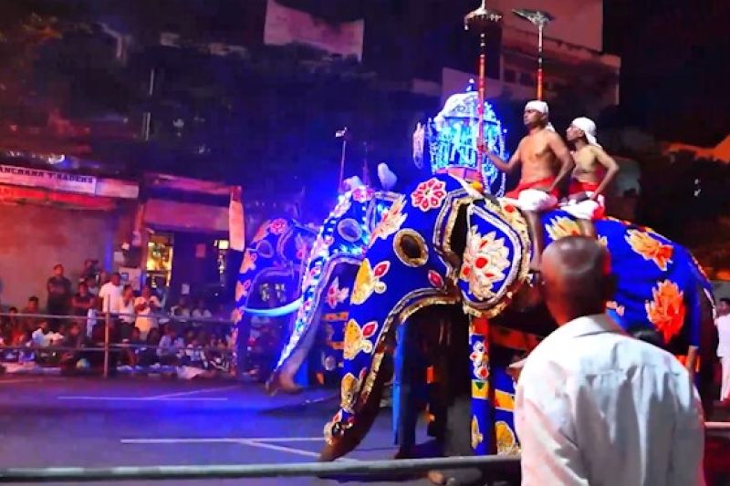 Sri Lanka gelar Festival Kandy Esala Perahera selama 10 hari