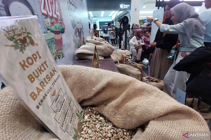 BI Bengkulu pertemukan agregator dengan pegiat-petani di festival kopi