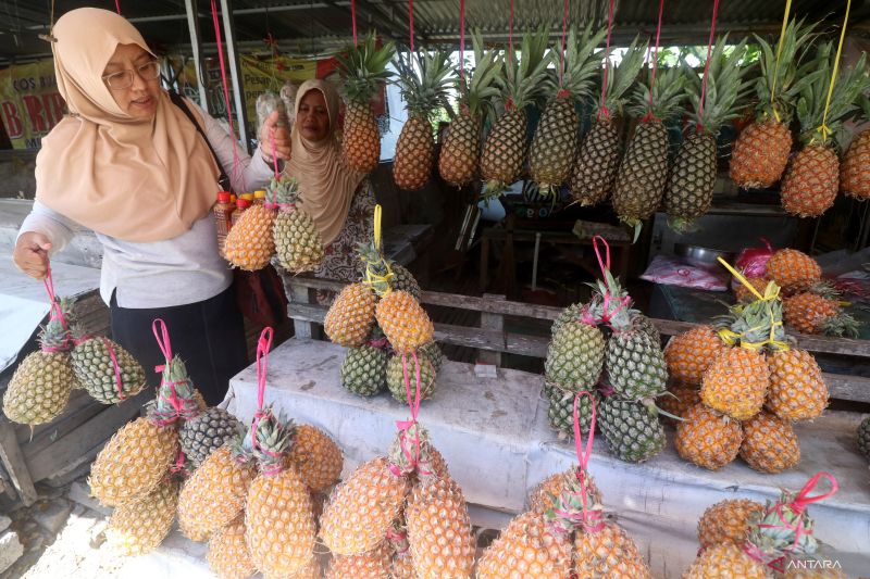 10-khasiat-buah-nanas-bisa-tingkatkan-imun-dan-kesehatan-pencernakan