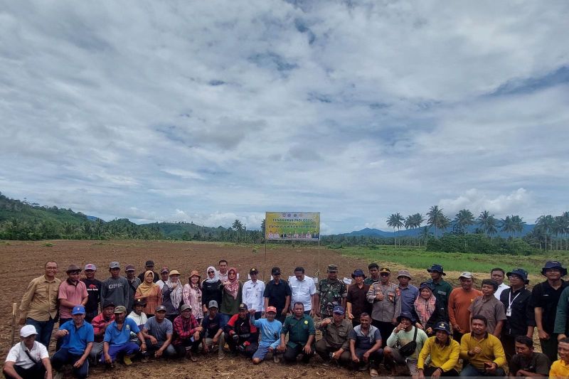 Kementan perluas areal padi gogo di Gorontalo cegah kelangkaan pangan 