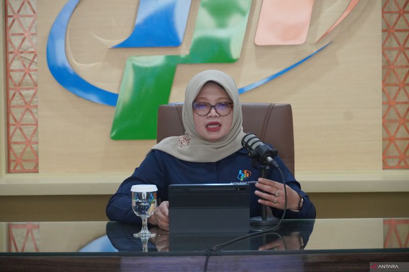 BPS: Jumlah penumpang pesawat domestik meningkat pada Juli 2024