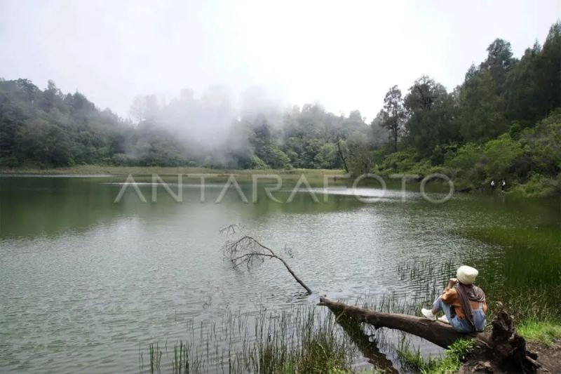 TNBTS buka kawasan Ranu Regulo untuk wisatawan 