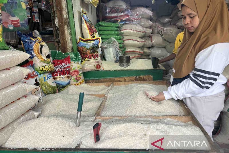 Harga pangan Kamis fluktuatif: Beras premium stabil Rp15.520 per kg