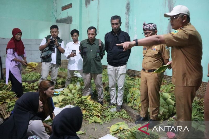 DKPP Kuningan gelar pelatihan untuk regenerasi petani tembakau