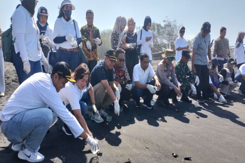 AP I YIA melepas tukik di Pantai Trisik dukung konservasi penyu