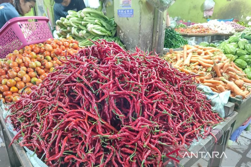 Harga pangan hari ini: Cabai merah keriting turun jadi Rp31.880 per kg