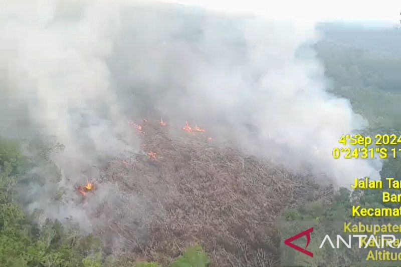 Titik panas meningkat, BMKG: Waspada karhutla pada 11 kabupaten Kalbar