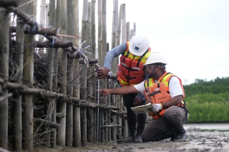 PTFI-Yayasan Bambu kembangkan ekonomi berbasis bambu di Pesisir Timika