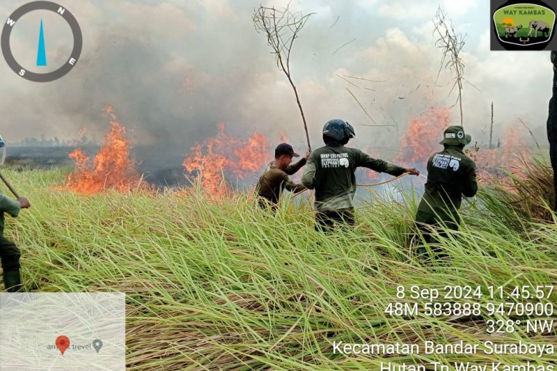 Kebakaran di Taman Nasional Way Kambas berhasil dipadamkan 