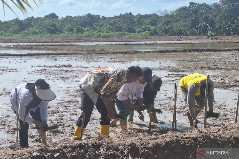 Wamentan serap permasalahan petani sawah tadah hujan Kota Balikpapan