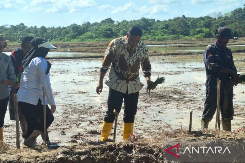 Wamentan Sudaryono usul Pupuk Indonesia dan Bulog di bawah Kementan