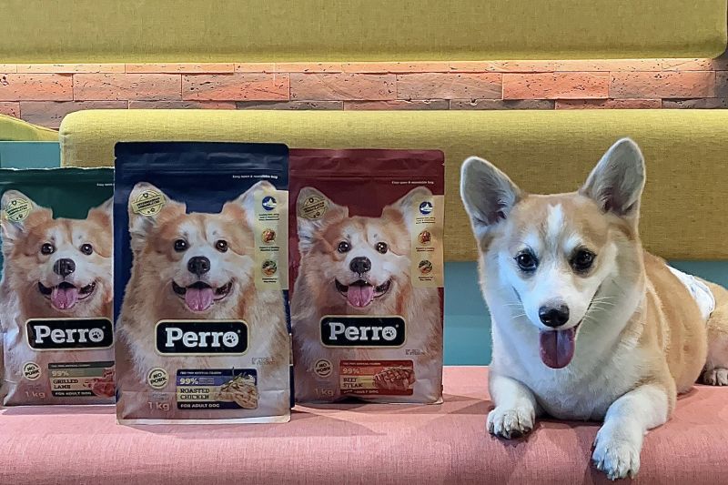 Kino Indonesia luncurkan produk makanan anjing Perro