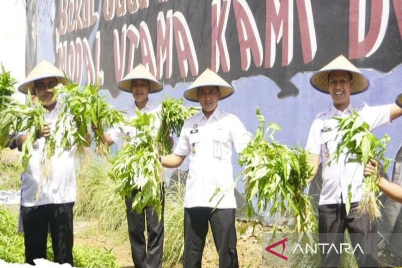 Lapas Narkotika Karang Intan panen 50 kilogram sayur kangkung 