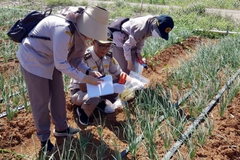 Karantina Kalsel ambil sampel pertanian cegah penyebaran OPTK 