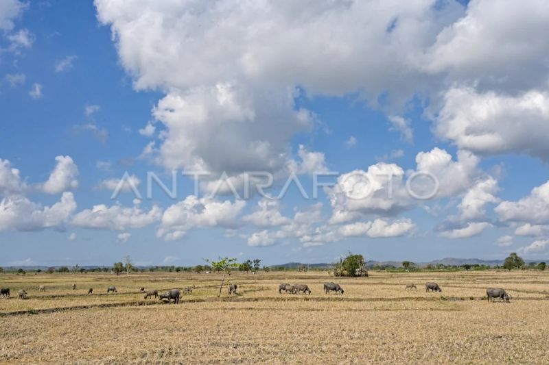 Potensi kekeringan di NTB diprediksi meluas