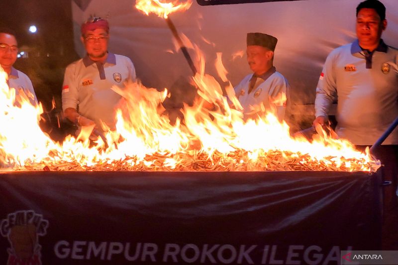 BC Jember dan Satpol PP Situbondo musnahkan 66.256 batang rokok ilegal